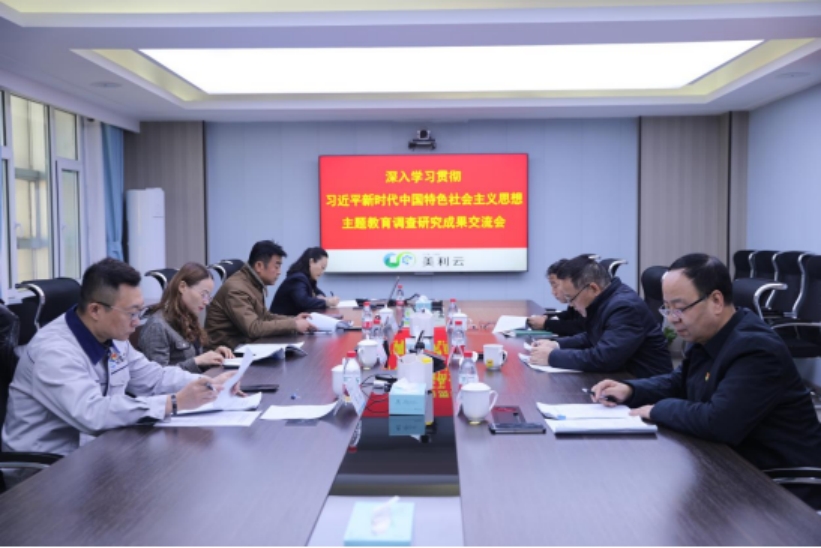 美利云黨委召開學習貫徹習近平新時代中國特色社會主義思想主題教育調研成果交流研討會